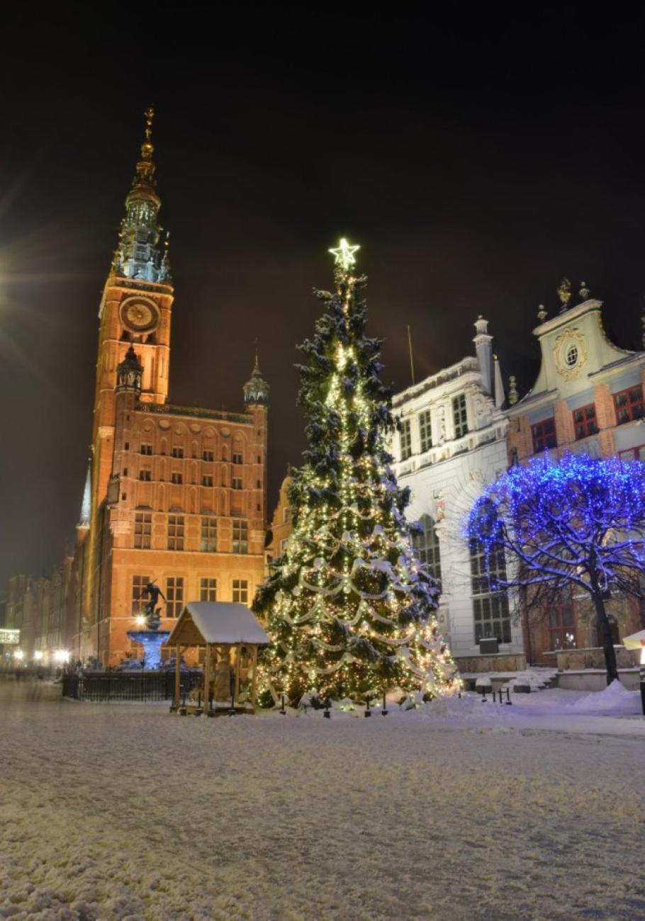 Old Town Apartment Angielska Grobla กดัญสก์ ภายนอก รูปภาพ